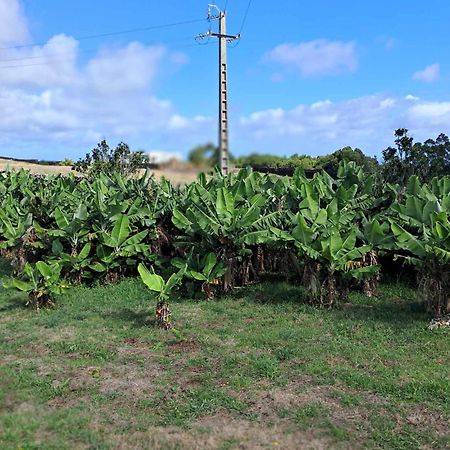 Quinta Do Norte 卡佩拉什 外观 照片